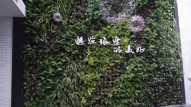 上海琪遇酒店植物墙工程