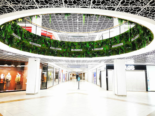梦巴黎购物中心室内仿真植物墙